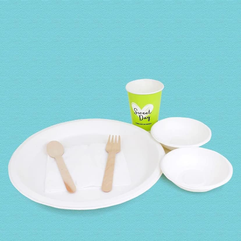 KSI Disposal Biodegradable Eco Friendly Dinnerware Combo Sets view 2