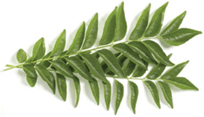 Curry leaves 50 Gms