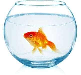 Aquarium Fish Jar view 2