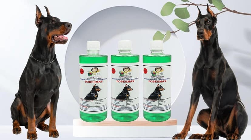 Swacch Shampoo Specially Formulated for Doberman (500ML) (Combo Pack of 3) Neem Alovera