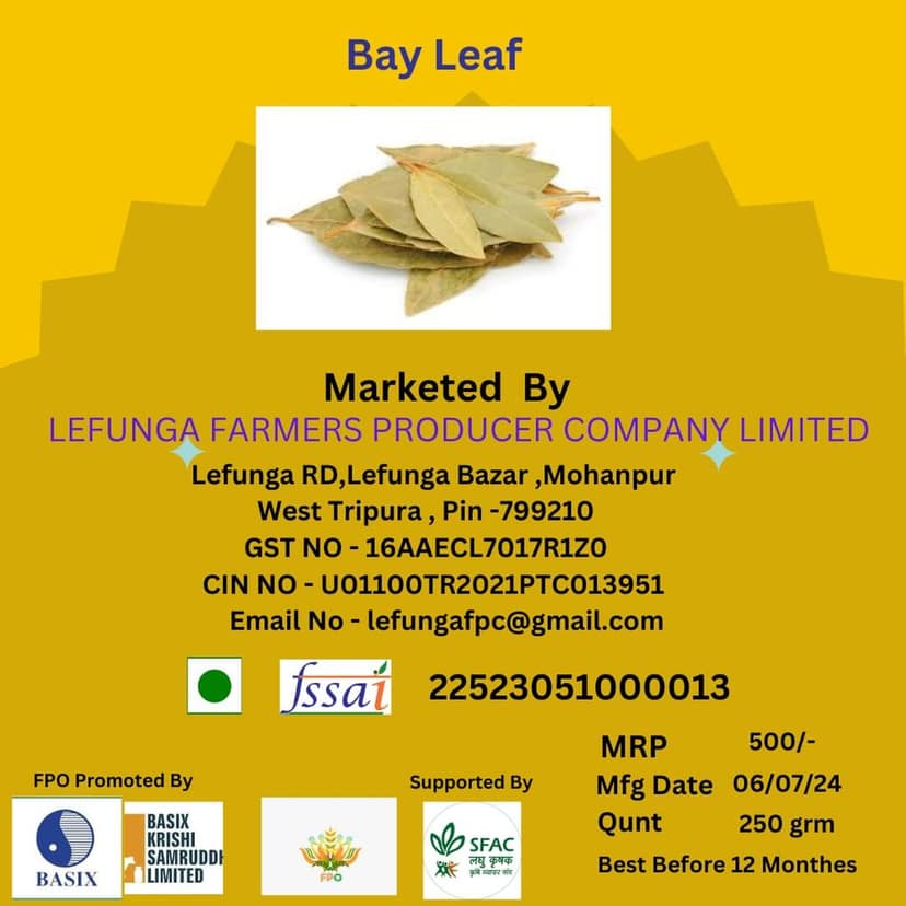 Bay Leaf (pack of 3)