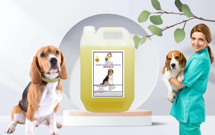SWACCH Shampoo Specially FORMULATED for Lemon (Beagle 5 Litre)