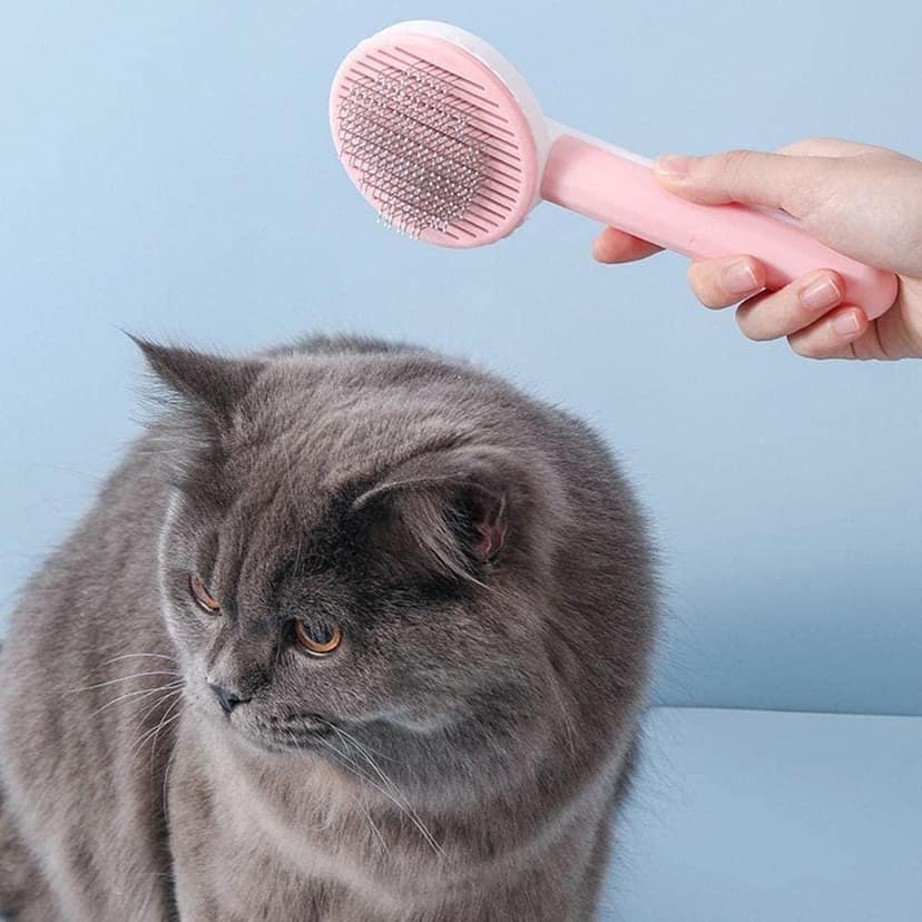 Pet Hair Removal Brush view 2