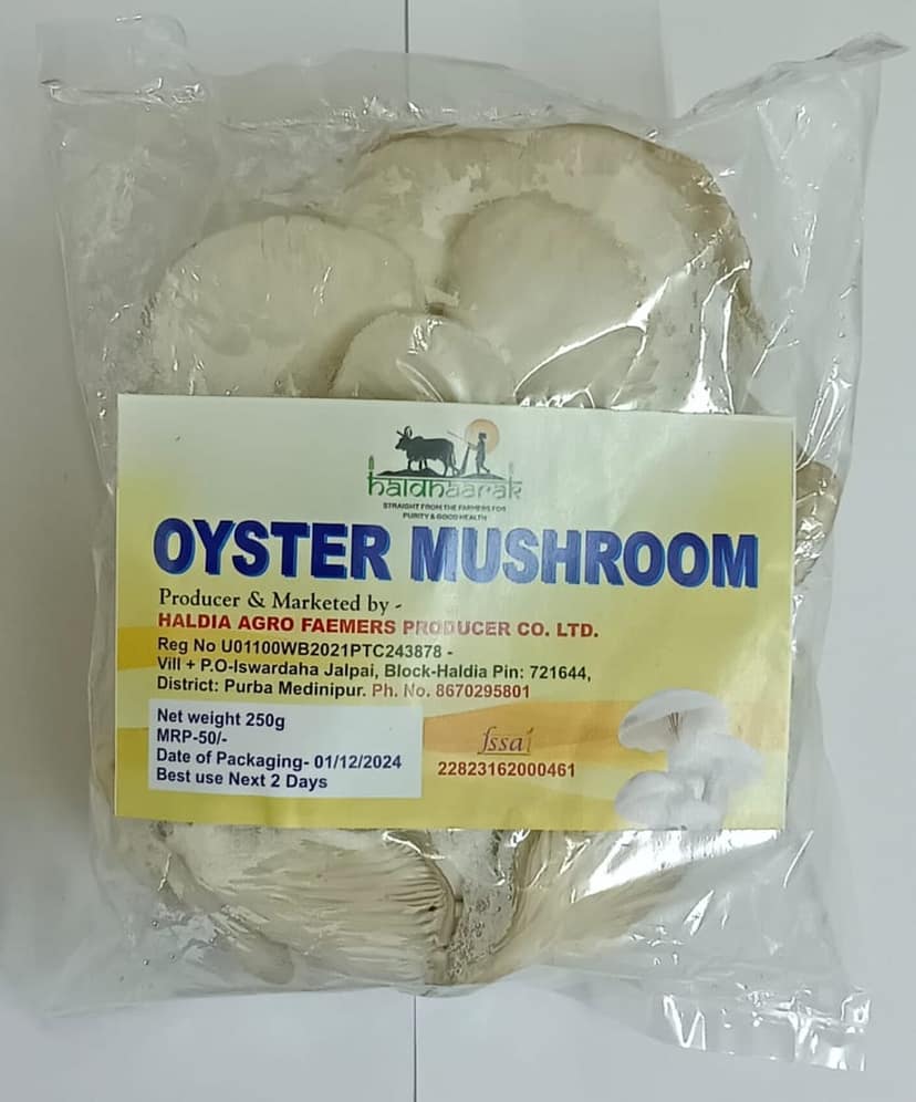 Oyster Mushrooms - Straight from the Farmers for Purity and Good Health - 250g"