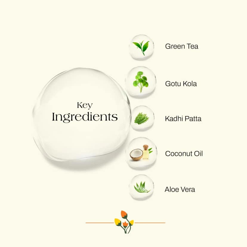 ashpveda Green Tea & Gotukola Hair Conditioner view 2