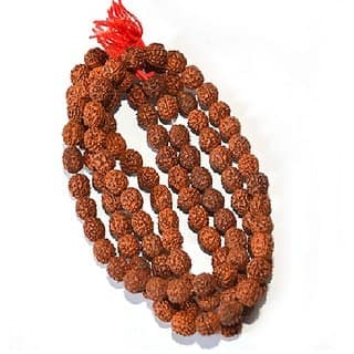 Lab certified rudraksha beads maala natural shiv moksha beads mala by Ceylonmine