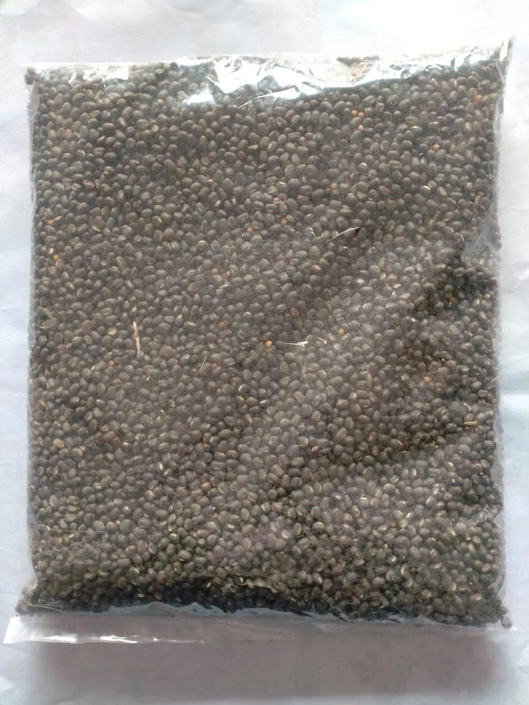 Urad PDKV Blackgold | 1 kg (pack of 3) view 2