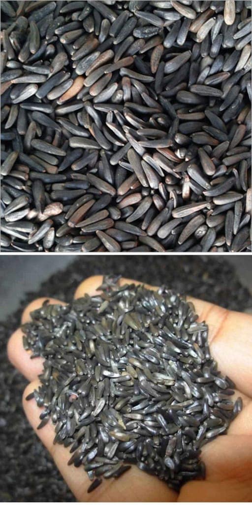 Ramtil Oil, Uchellu Oil, Niger Seed Oil, Ramtil Tel, Kalatil Oil 5litre view 2