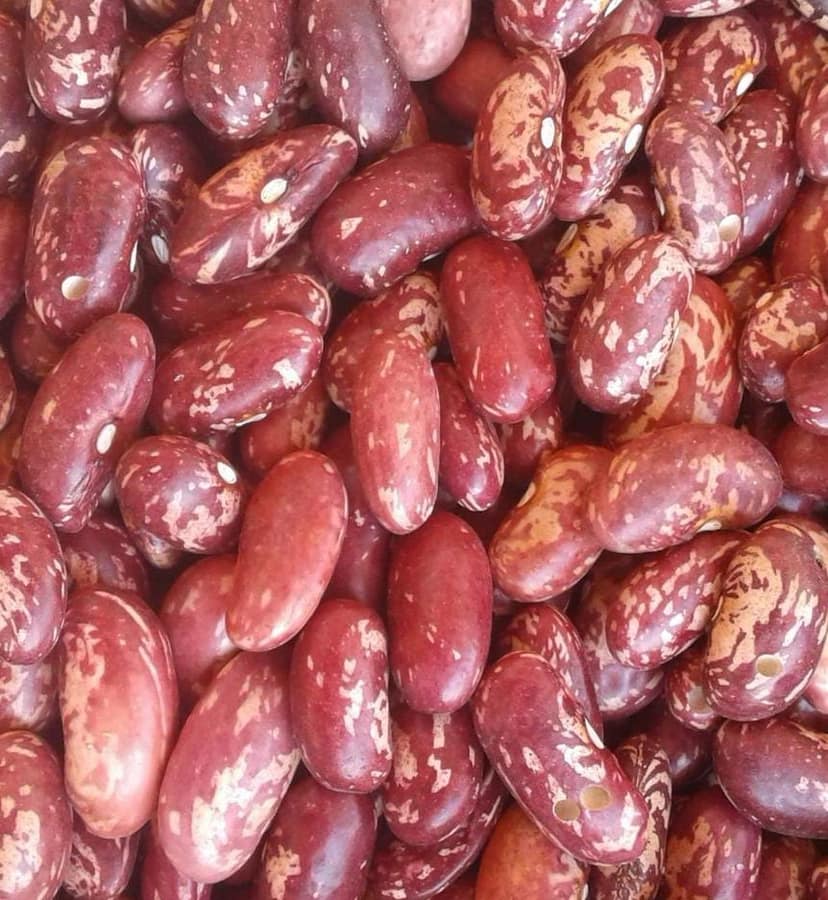 Rajma 2 kg view 2