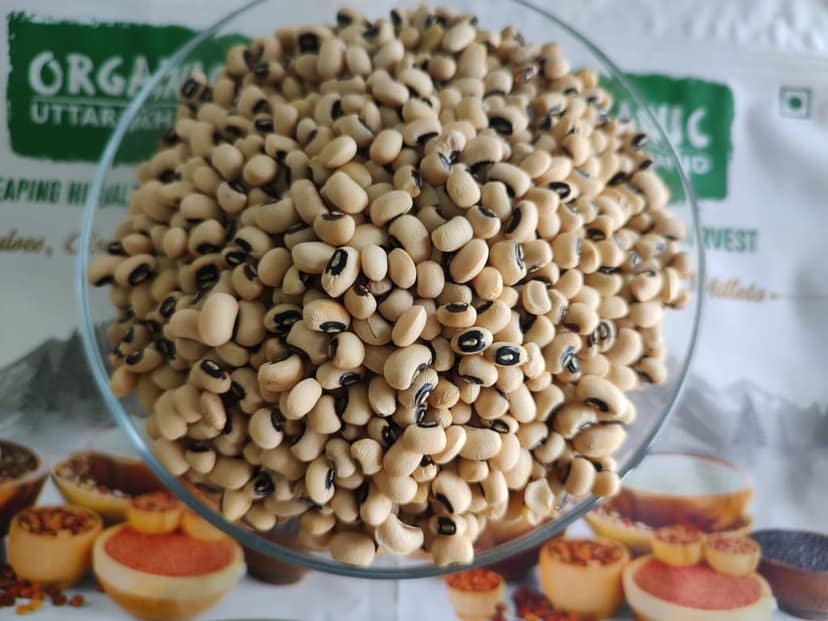 Burash Natural Cowpea Black Eye / Lobia 500 Gm view 2