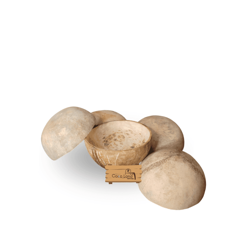 Coco Land Coconut Shell Matte Polished Bowl S-M-L 100-150-250 ml Decorative Bowl/ Candle Making Bowl /Showpieces /Handicraft/Candle Holder /Salad Bowl/Smoothie Bowl