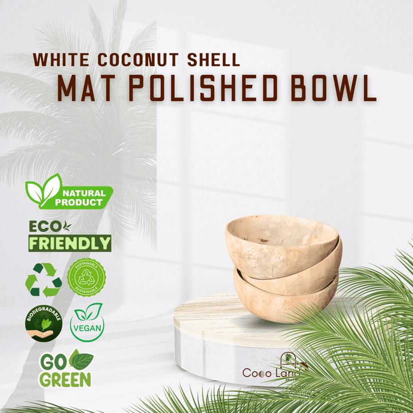 Coco Land Coconut Shell Matte Polished Bowl S-M-L 100-150-250 ml Decorative Bowl/ Candle Making Bowl /Showpieces /Handicraft/Candle Holder /Salad Bowl/Smoothie Bowl view 2