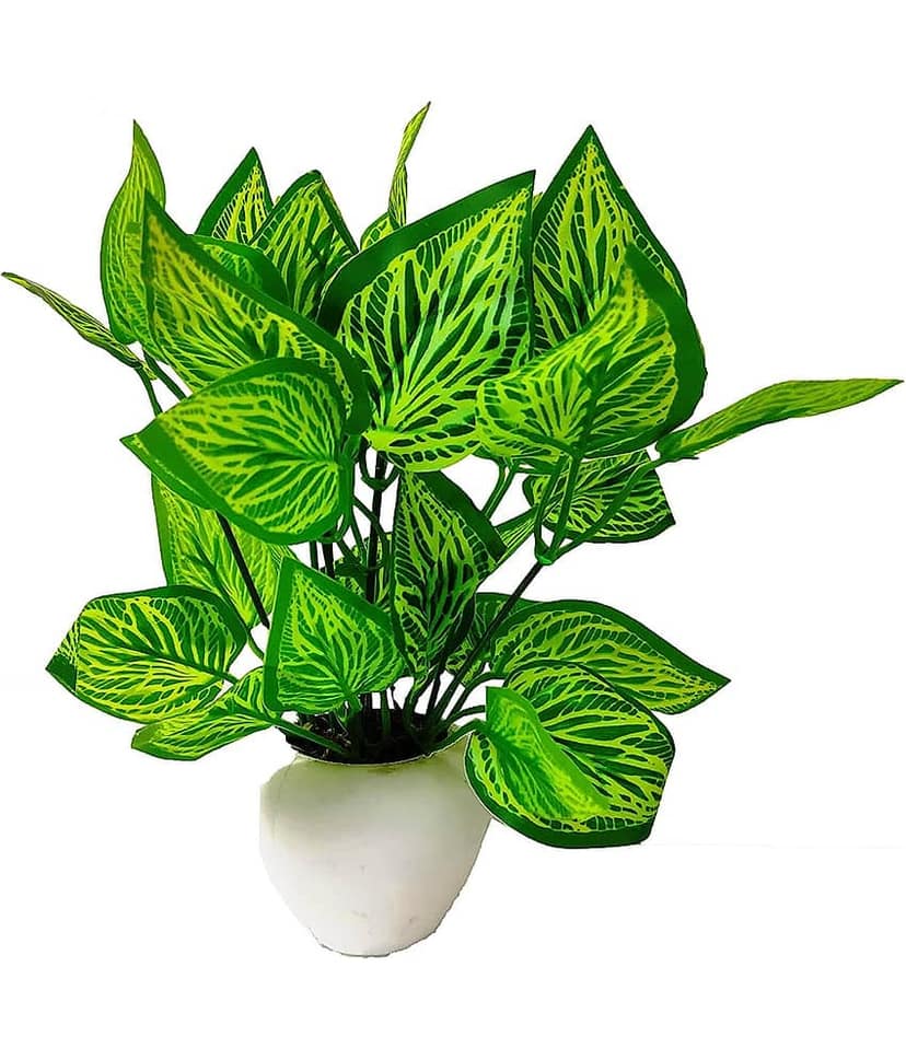 Green plant indoor Artificial Money Plant Bonsai Green Bonsai Plastic - Pack of 1 view 2