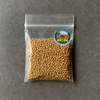 Ladkuwar Outlet's mustard seeds
