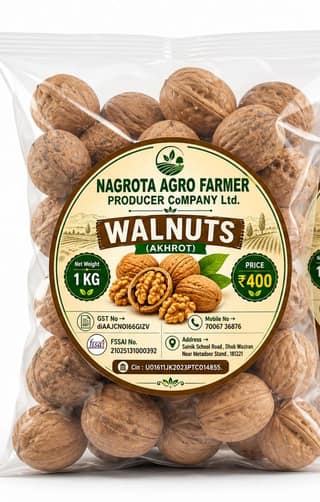 Premium Walnuts In-Shell (Akhrot) - 1 Kg Pack