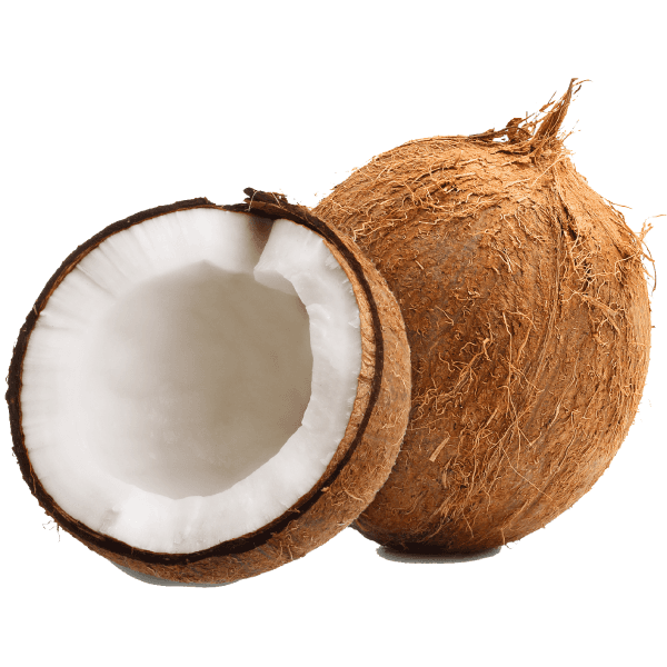 Coconut 1 Pc
