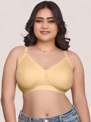 Dcup bra 185 38D 40D