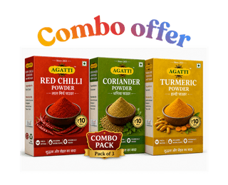 Combo Red Chilli Powder & Turmeric Powder & Coriander Powder 90g(Pack of 3)