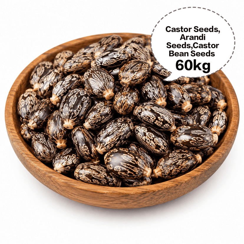 Castor Seeds, Arandi Seeds, Castor Bean Seeds, Ricinus Seeds, Erand Seeds 60kg view 2