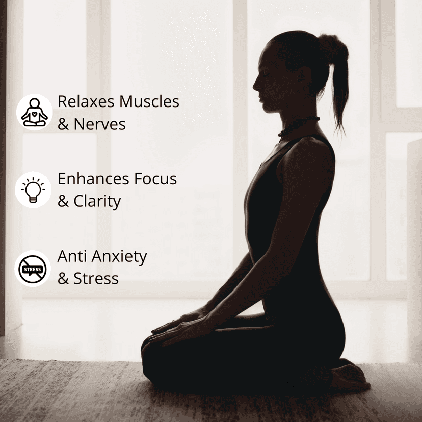 SomaShrooms Lion's Mane Natural Brain Power Booster view 2
