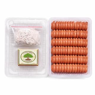 Mud Diya (60 Pcs) with Cotton Wicks & Matchbox | Ready-to-Use Oil Lamps for Diwali, Pooja & Decoration | EYA Garden