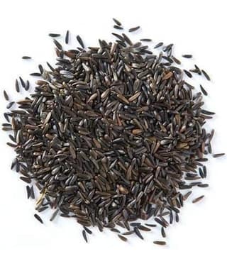 Nutrixia Food Niger Seed/रामतिल/Ramtil/Karale/Karal/Bird Food 100 gm