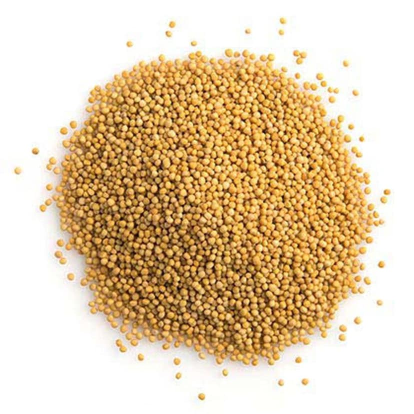 Yellow Mustard Seeds view 2