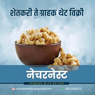 Organic Cashews - 1 Kg