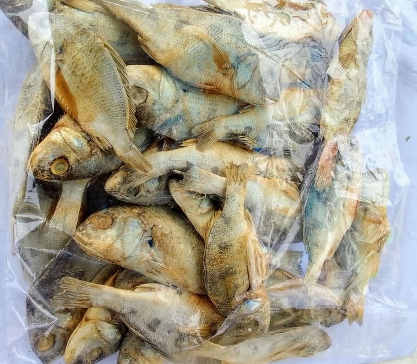 Grunter (Pomadasys) | Kokaraba | Rambha Dry Fish | 1Kg view 2