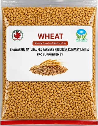 Wheat