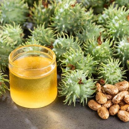 Castor Oil, Erand Oil, Arandi Oil, Castor Seed Oil, Cold Pressed Castor Oil 5litre view 2