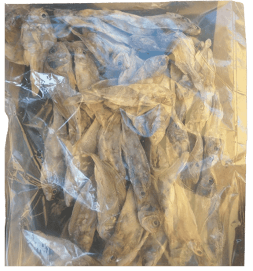 Patua | Thryssa sp. | Rasulpur Dry Fish | 250gm view 2