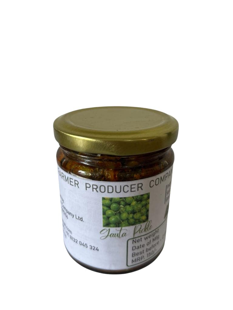 Bitter eggplant pickle view 2