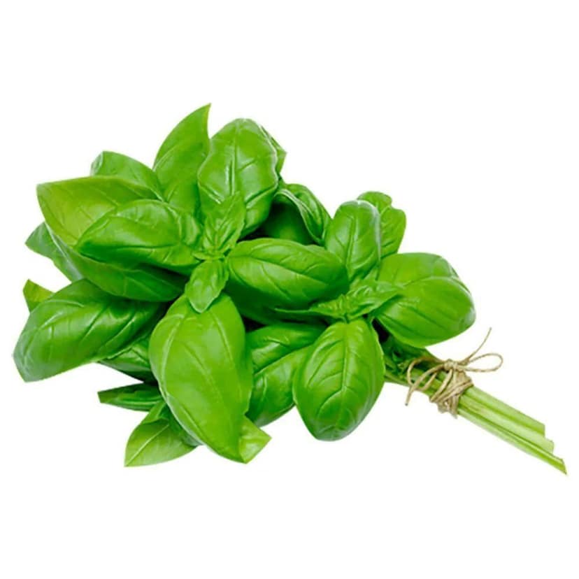 Basil Leaves whole bunch