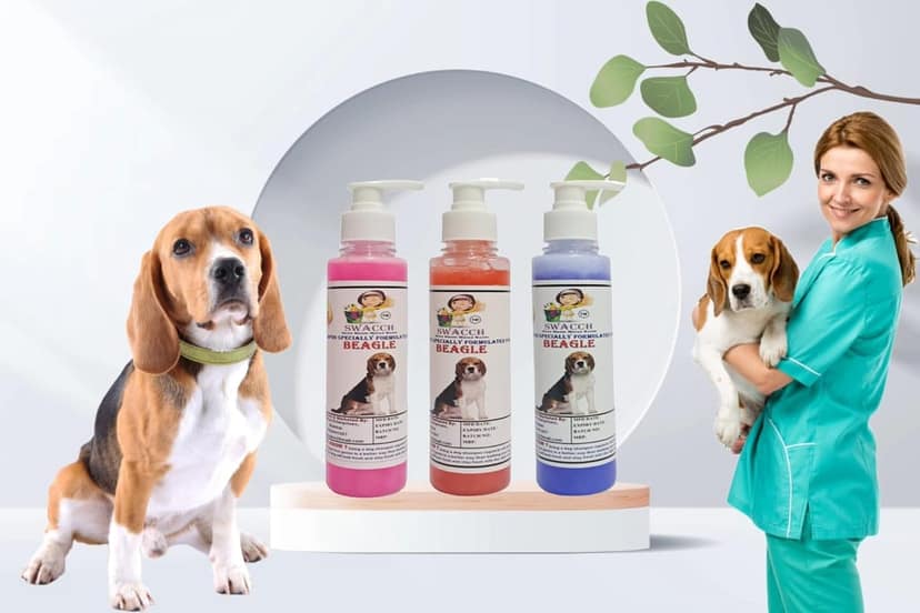 SWACCH Premium Shampoo for Beagle (200ML)(Combo Pack of 3) Rose, Jasmine & Lavender view 2
