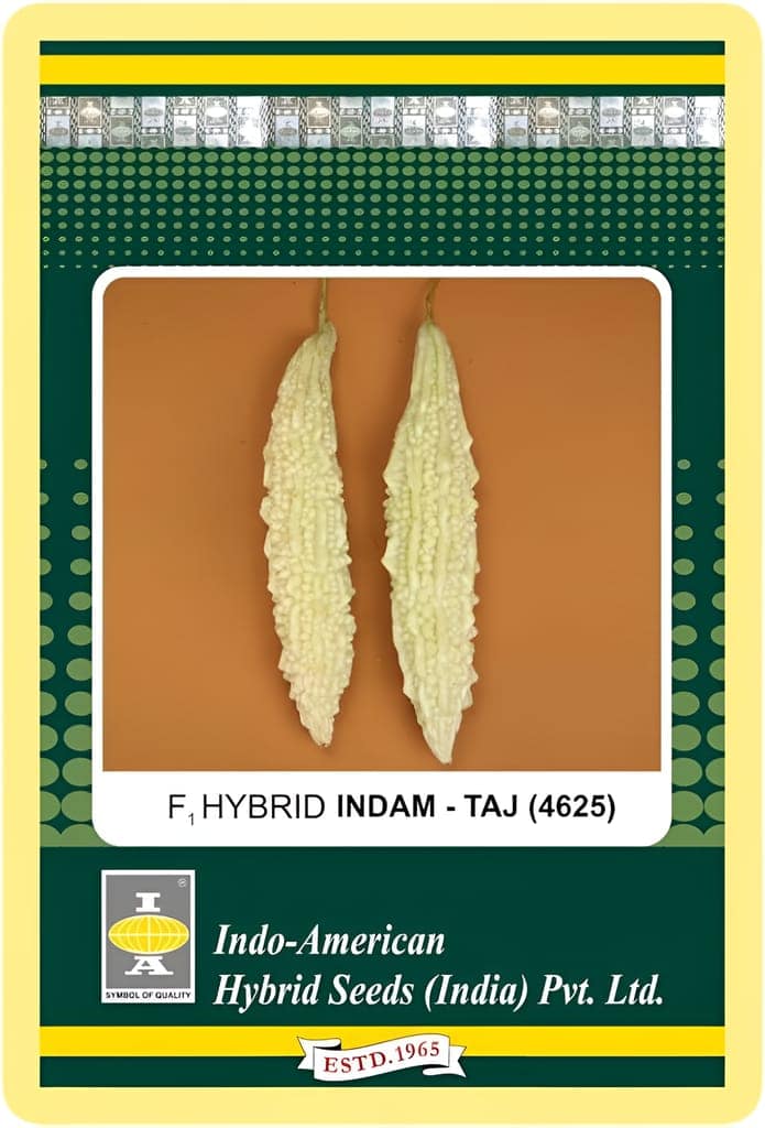 BITTERGOURD TAJ (INDAM-4625) [HY] SEEDS - 15 SEEDS view 2