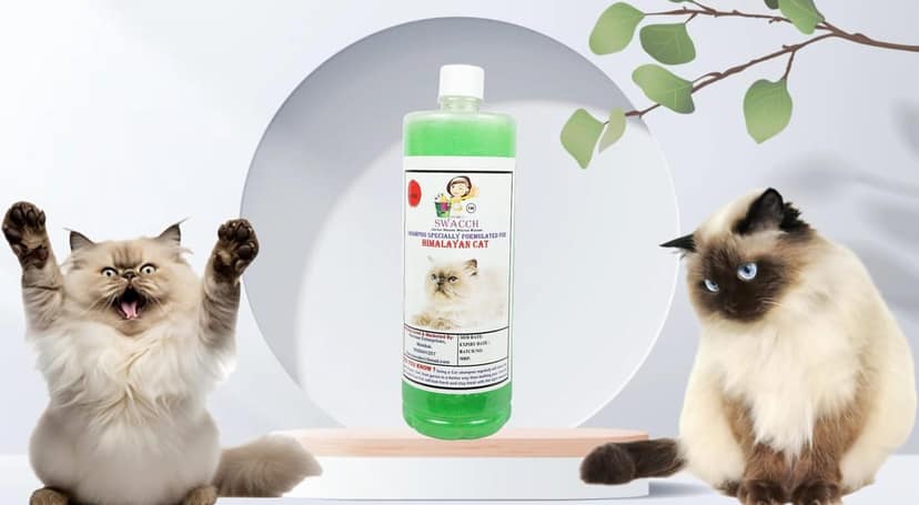 SWACCH Shampoo Specially FORMULATED for Himalayan CAT (1 Litre) NEEM ALOEVERA