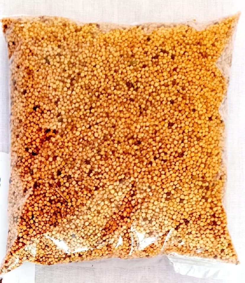 Mustard Seed view 2