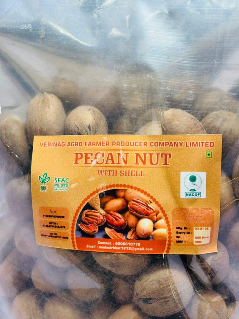 Peacan Nut with shell view 2