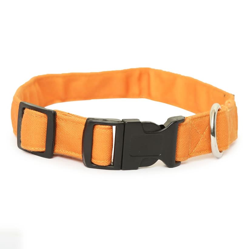 Fashion Dog Classic Mustard Dog Collar & Leash Set.. view 2