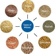 SMALL MILLETS WHEAT FLOUR view 2