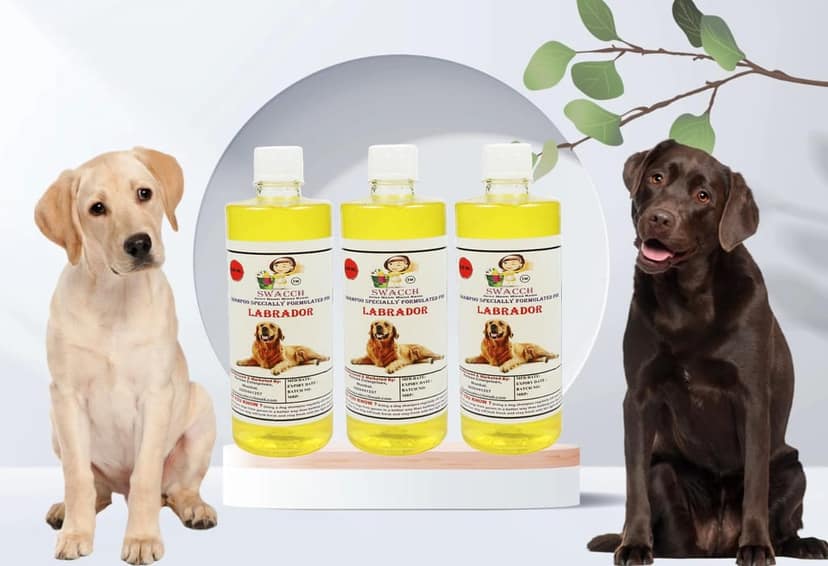 SWACCH Shampoo Specially FORMULATED for Labrador (500ML) (Pack of 3) Lemon