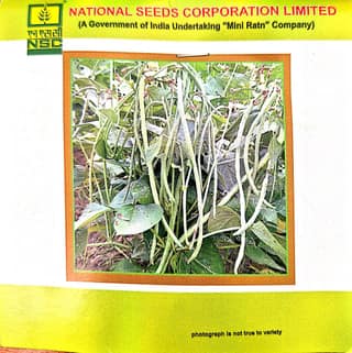 COWPEA VAR - KASHI NIDHI - 20 GM