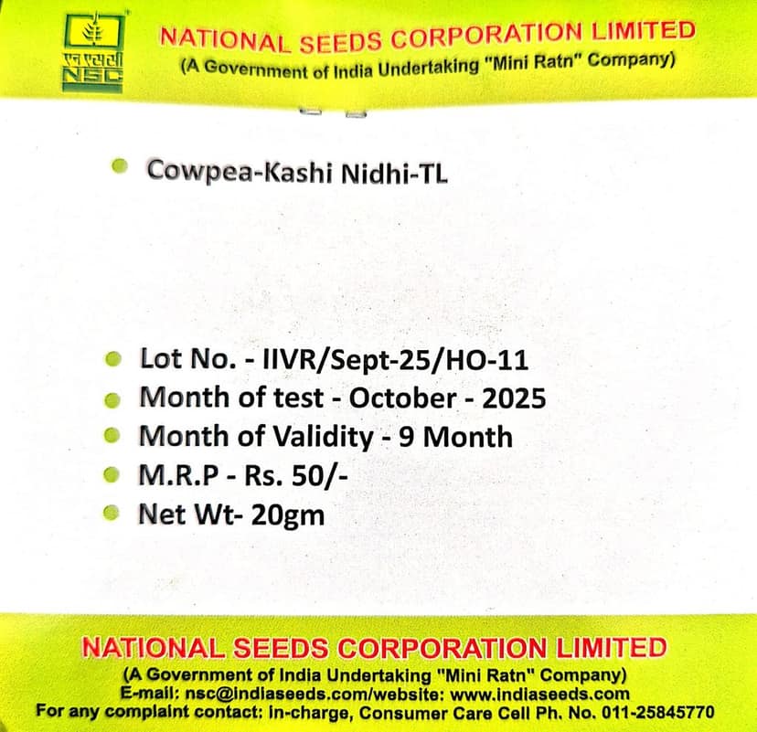 COWPEA VAR - KASHI NIDHI - 20 GM view 2