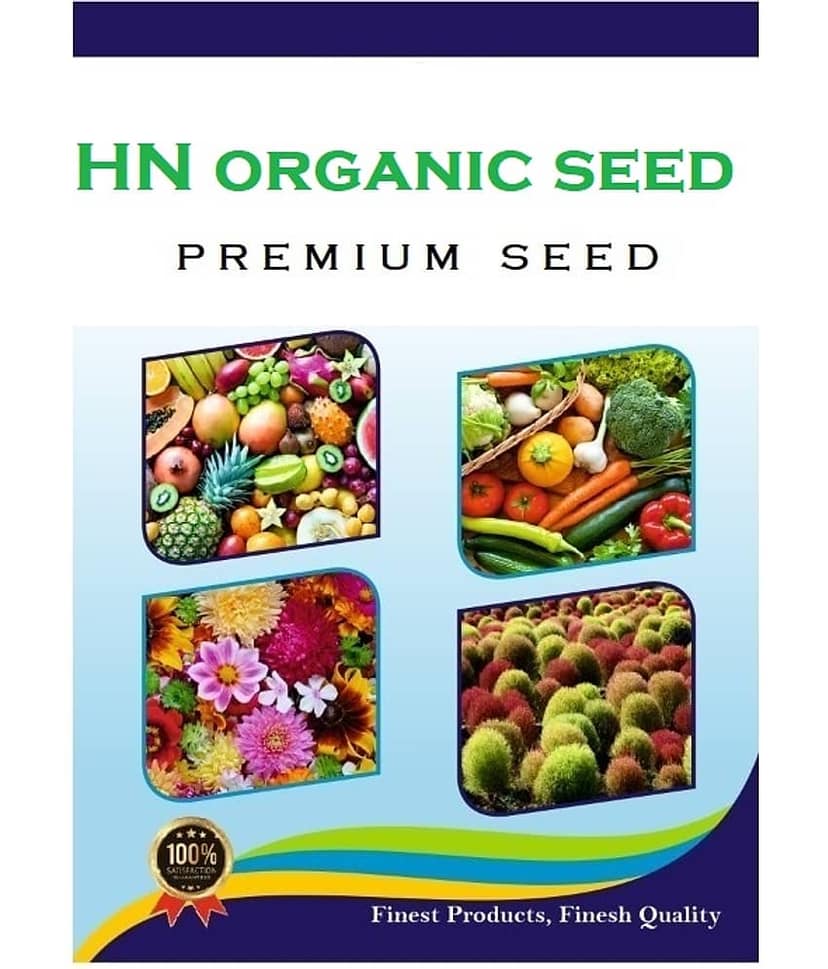 HN organic seed - Zinnia Mixed Flower ( 20 Seeds ) view 2