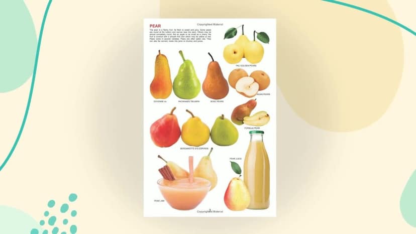 Fruit Jumbo Picture Book - A3 Size Book with Big Pictures for Early Learners (My Jumbo Books) [Hardcover] Dreamland Publications [Hardcover] Dreamland Publications view 2