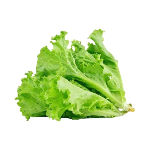 Agrify Fresh Lettuce - Green 2 Pcs
