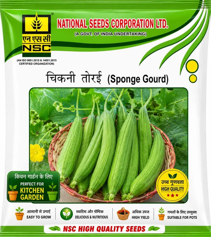 NSC Sponge gourd Pusa Sneha Seed, 10 gm view 2