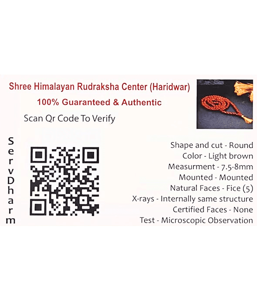 ServDharm Rudraksha Mala ( Pack of 1 ) view 2