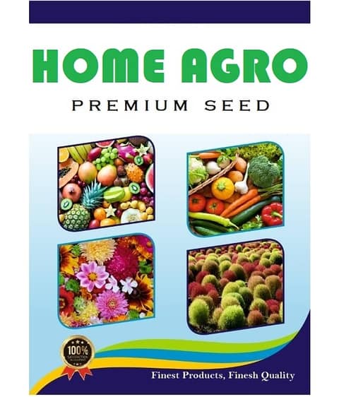 homeagro - Dahlia Mixed Flower ( 25 Seeds ) view 2